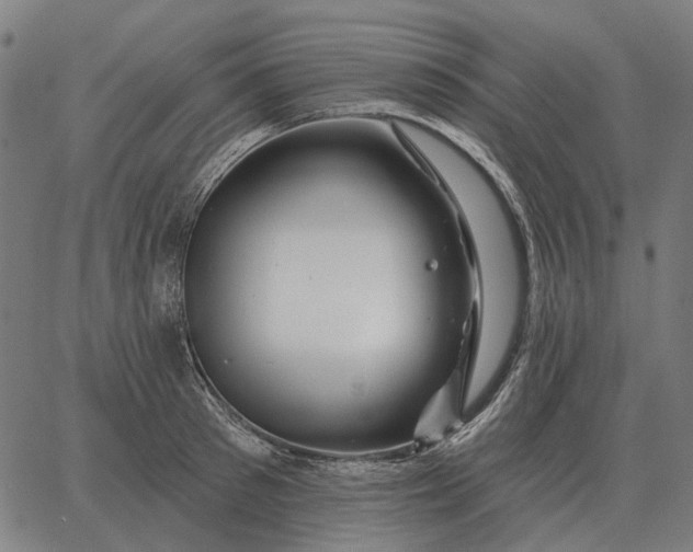 X0000065260897200603031826