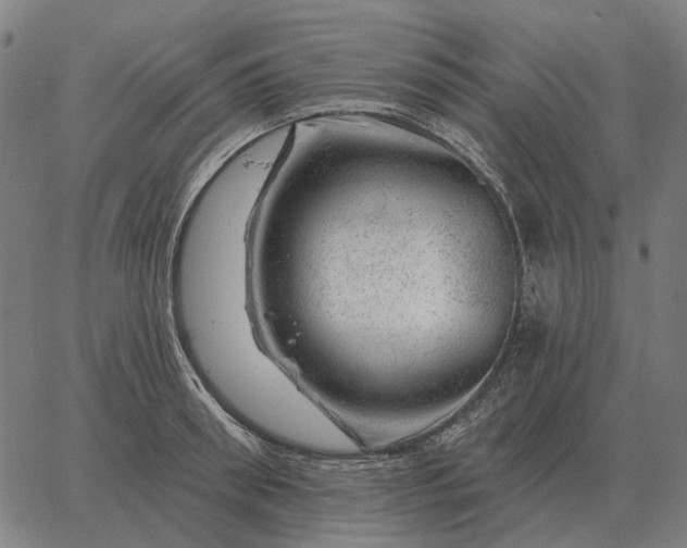 X0000065260898200603031825