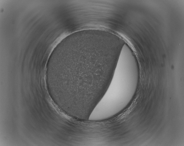 X0000065260899200603031825