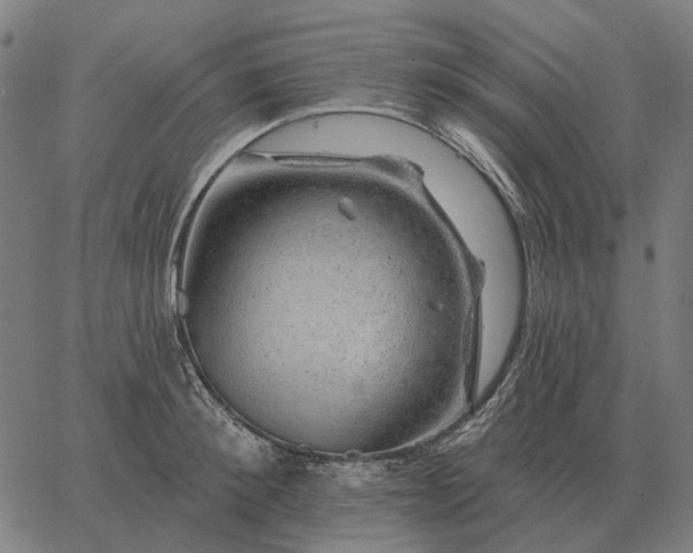 X0000065260900200603031825