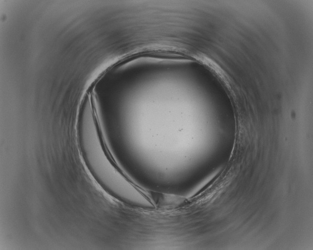 X0000065260902200603031825