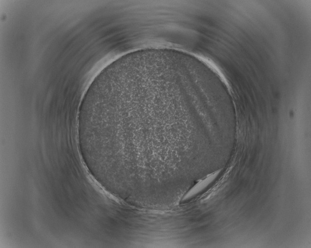 X0000065260903200603031825