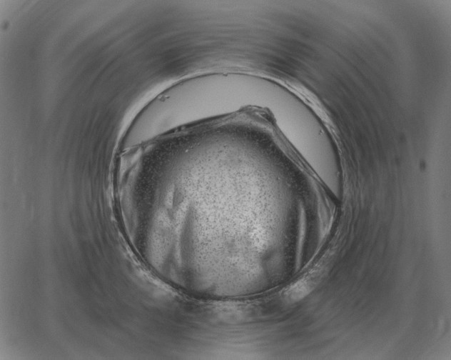 X0000065260904200603031825