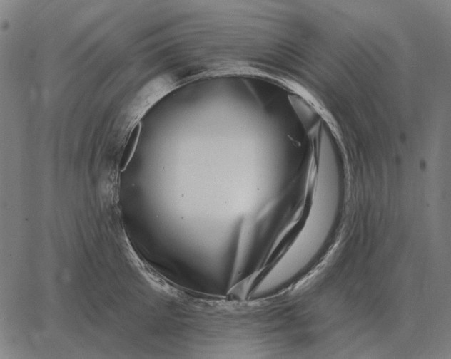 X0000065260905200603031825