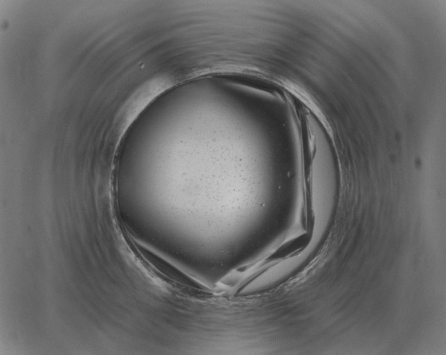 X0000065260906200603031825