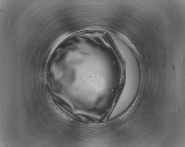 X0000065260908200603031825