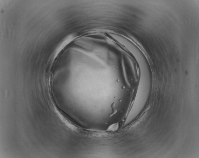 X0000065260909200603031825