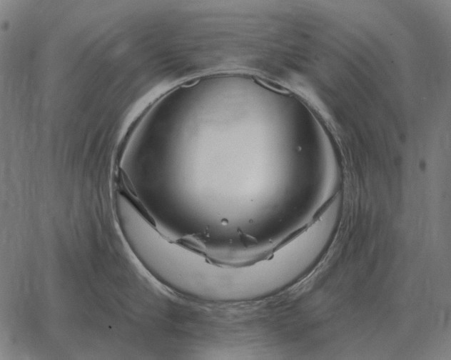 X0000065260910200603031825