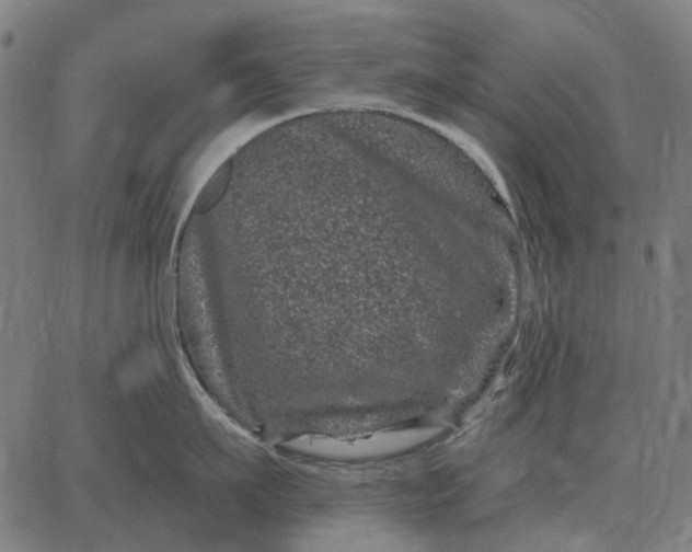 X0000065260911200603031825