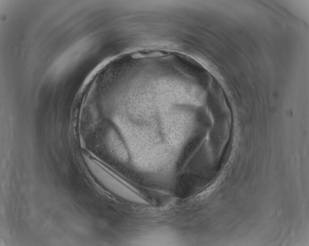 X0000065260912200603031825