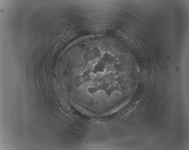 X0000065260913200603031824