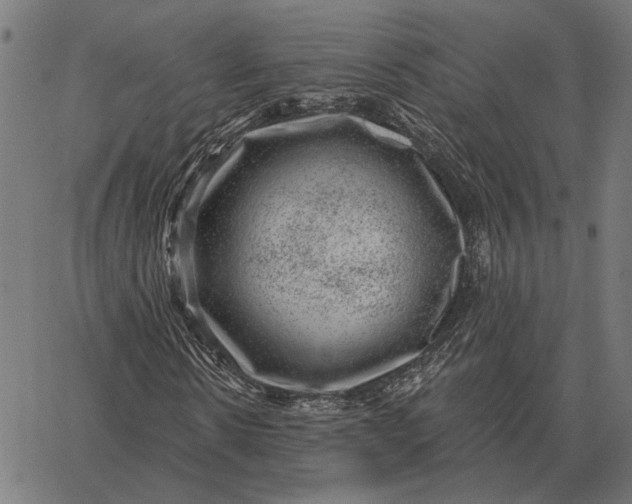 X0000065260914200603031824