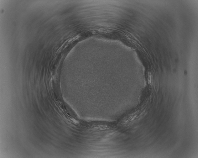 X0000065260915200603031824