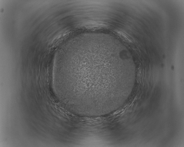 X0000065260917200603031825