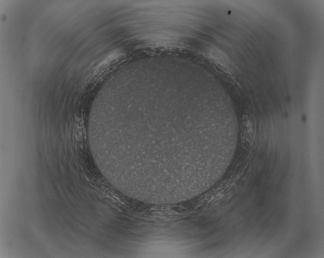 X0000065260918200603031825