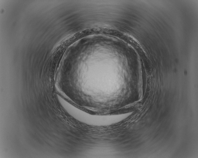 X0000065260919200603031825