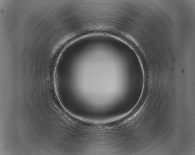 X0000065260922200603031825