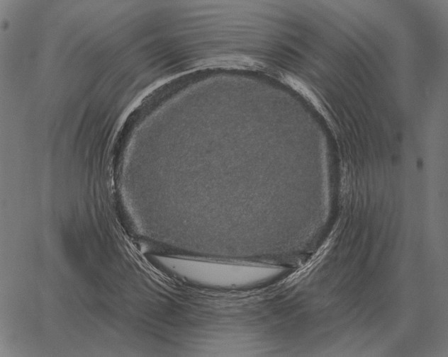 X0000065260923200603031825