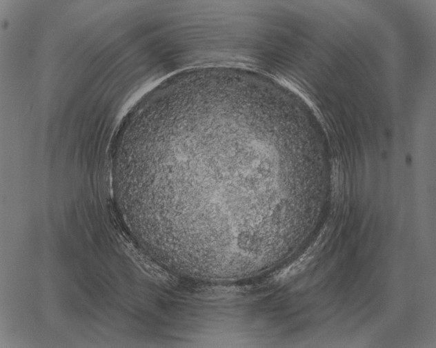 X0000065260925200603031825