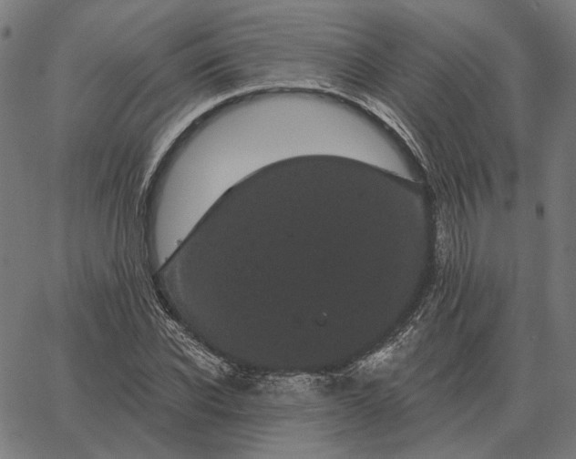 X0000065260926200603031825