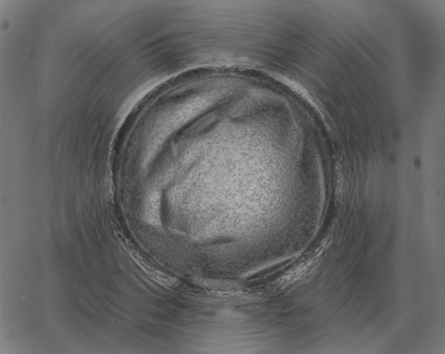 X0000065260927200603031825