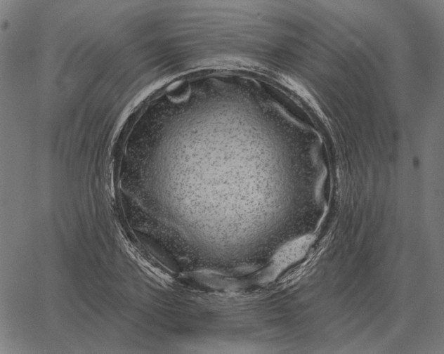 X0000065260931200603031825