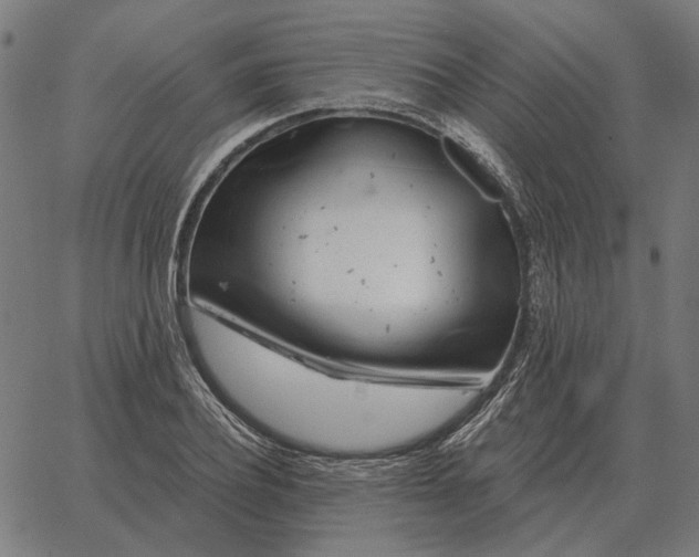 X0000065260932200603031825