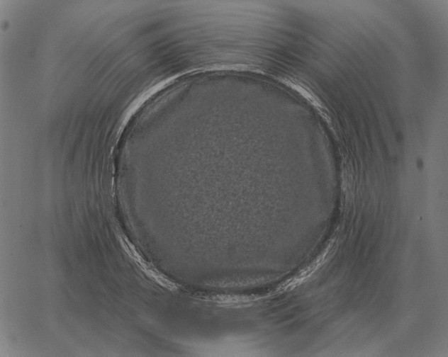 X0000065260933200603031825