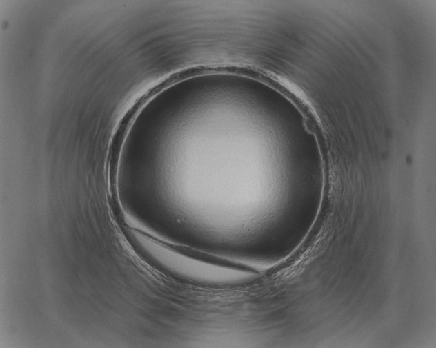 X0000065260935200603031825