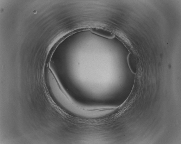 X0000065260936200603031825