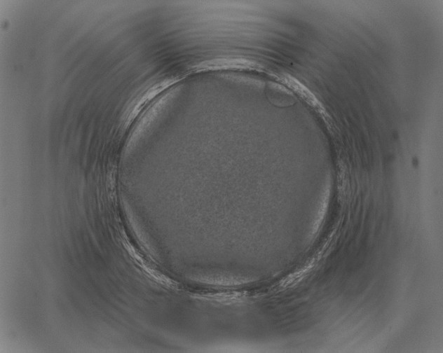 X0000065260937200603031825