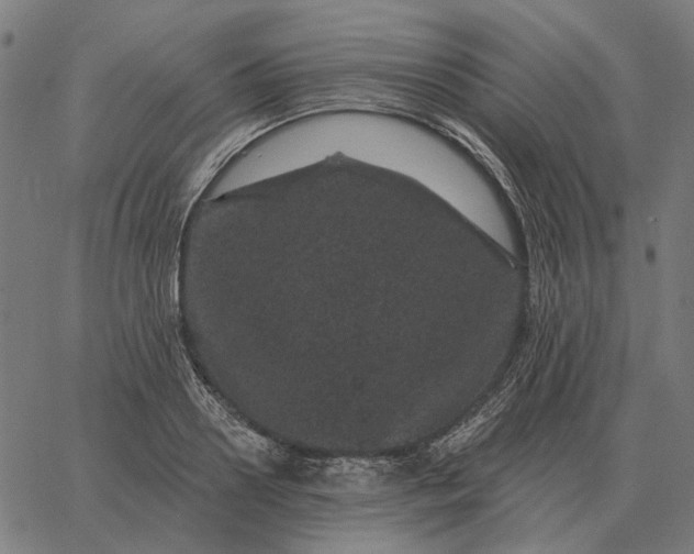 X0000065260938200603031825