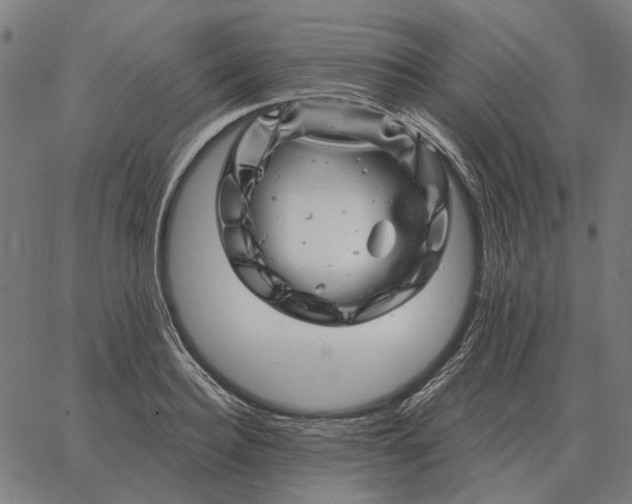 X0000065260940200603031825