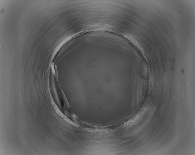 X0000065260941200603031825