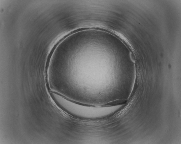 X0000065260943200603031825