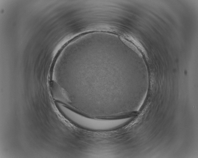 X0000065260944200603031825