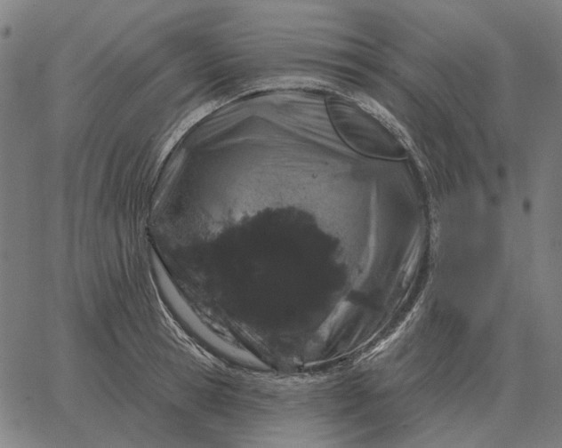 X0000065260945200603031825