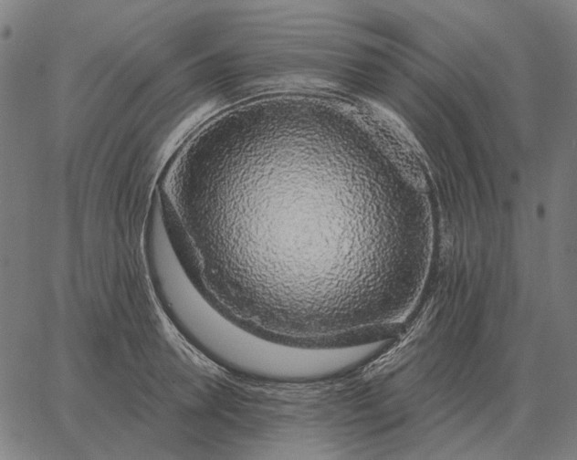 X0000065260946200603031825