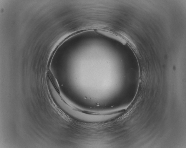 X0000065260948200603031825