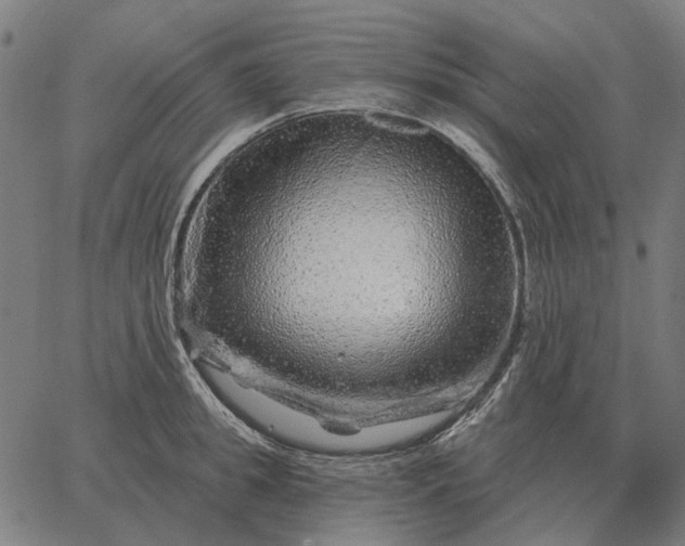 X0000065260949200603031825