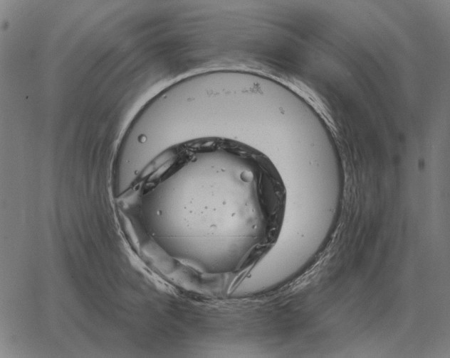 X0000065260950200603031825