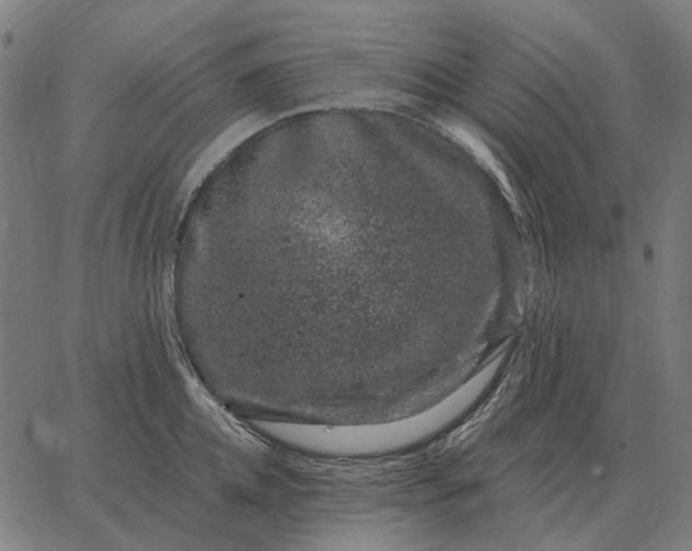 X0000065260952200603031825