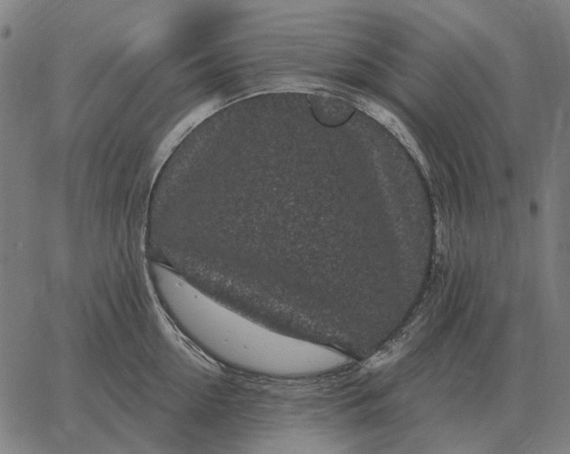 X0000065260954200603031825