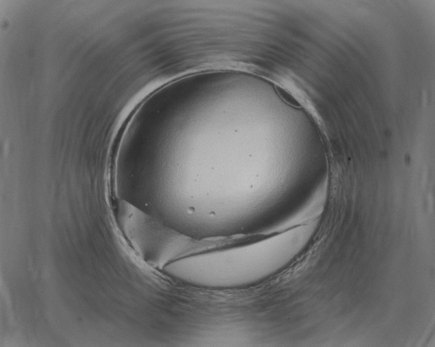 X0000065260955200603031825