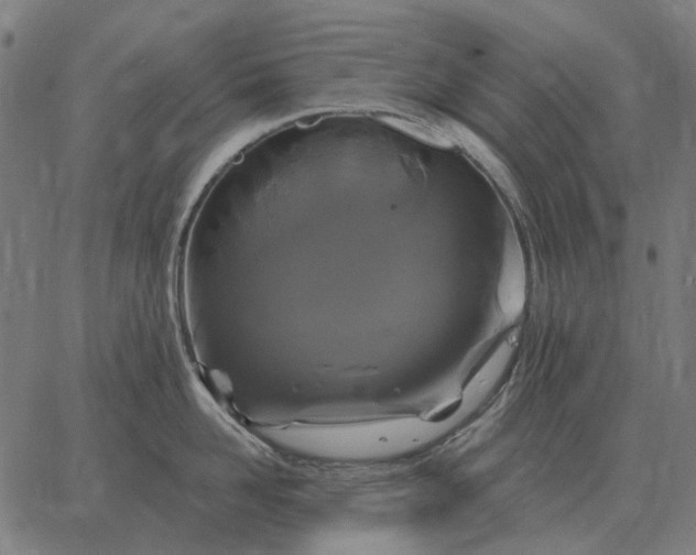 X0000065260958200603031825