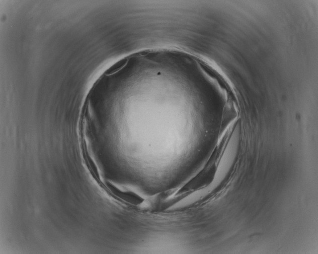 X0000065260959200603031825