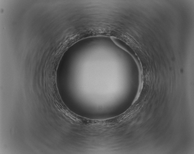 X0000065260961200603031824