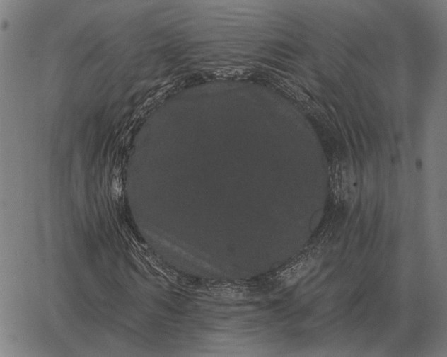 X0000065260962200603031824