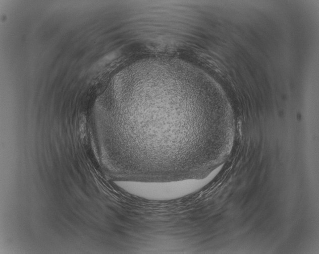 X0000065260963200603031824