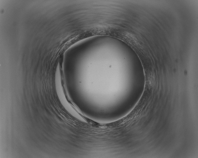 X0000065260964200603031824